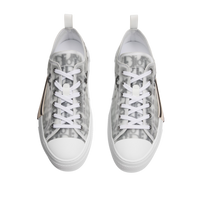 Dior B23 White & Black