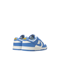 Nike Dunk 'Coast'