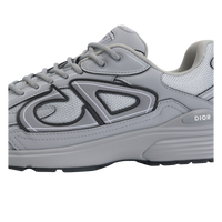 Dior B30 Gray