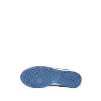 Nike Dunk 'Coast'