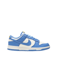 Nike Dunk 'Coast'