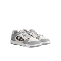 Dior B57 Gray & White