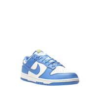 Nike Dunk 'Coast'