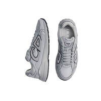 Dior B30 Gray